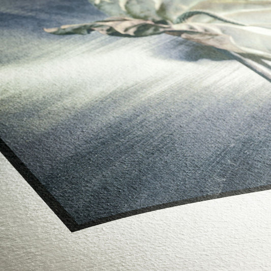 Hahnemühle German Etching 310