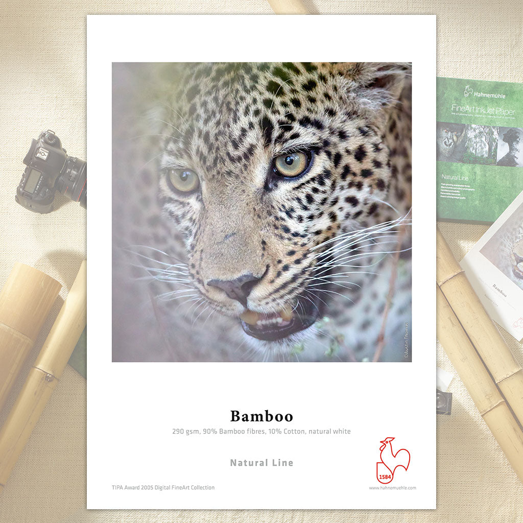 Hahnemühle Bamboo 290gsm