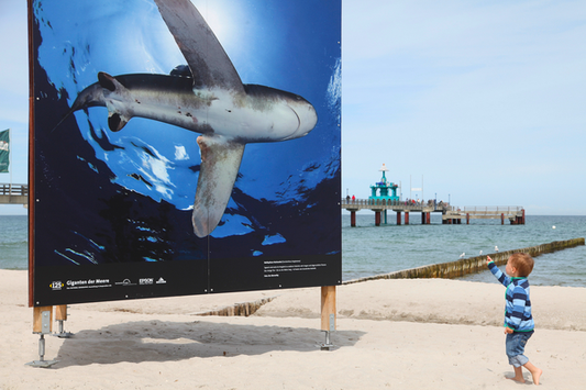 Solvoprint Performance 80 Vinyl