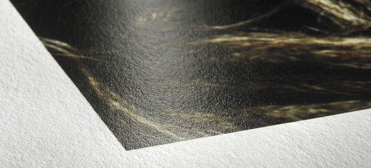 What is Baryta Paper?