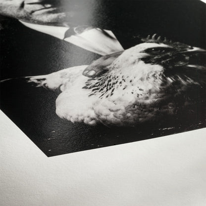 Hahnemühle Photo Rag Baryta 315