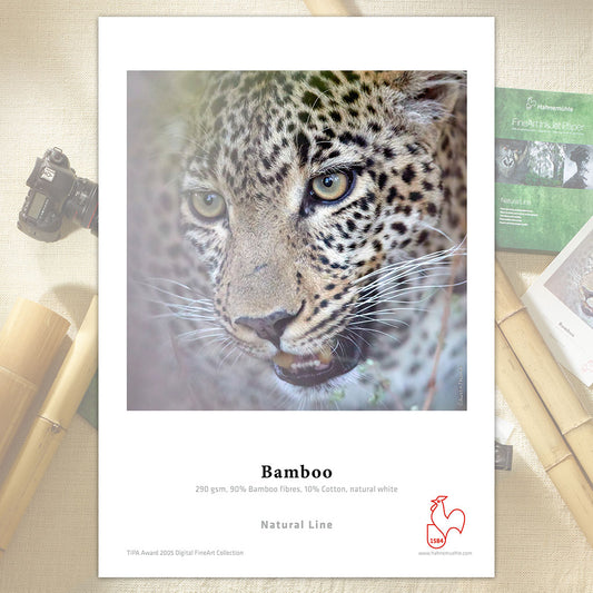 Hahnemühle Bamboo 290gsm